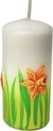 Свеча Нарцисс 50х130 мм Pako-If
