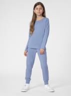 Брюки 4F TROUSERS CAS F130 4FJSS23TTROF130-32S р. 152 фиолетовый