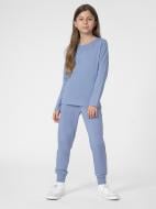 Брюки 4F TROUSERS CAS F130 4FJSS23TTROF130-32S р. 128 фиолетовый