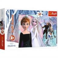 Пазли Trefl Магічний світ Frozen 30 елементів 6337085