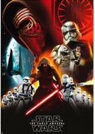 Постер FSD ABYstyle Star Wars 