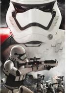 Постер FSD ABYstyle Star Wars Stormtroopers Ep7 98x68 см (ABYDCO332) 