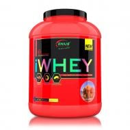 Протеин Genius Nutrition iWhey ванильное мороженое 900 г