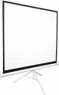 Экран настенный T85NWS1 ELITE SCREENS
