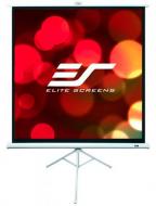 Экран Elite Screens T113NWS1