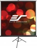 Проекційний екран Elite Screens T100UWHWH