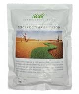 Насіння DLF-Trifolium газонна трава Посухостійкий