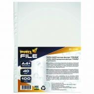 Файлы А4+ 40 мкм глянец 100 шт. PF-1140-300602 ProFile
