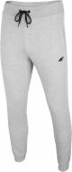 Брюки 4F NOSH4-SPMD001-27M р. XL серый