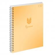 Тетрадь 80 лист. спираль Golden Glow 152453 YES Тетрадь 80 лист. спираль Golden Glow 152453 YES