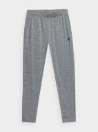 Брюки 4F TROUSERS FNK M167 4FSS23TFTRM167-27M р. 3XL серый