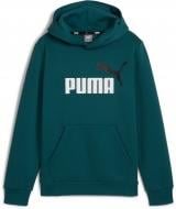 Джемпер Puma ESS+ 2 COL BIG LOGO HOODIE FL B 58698708 р.116 зеленый