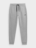 Брюки 4F TROUSERS CAS M223 4FSS23TTROM223-27M р. M серый