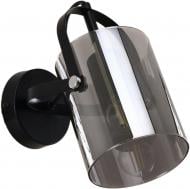 Светильник настенный Sensio Columba 40 Вт E27 черный/дымчатый ALG-74721/1W-Bl