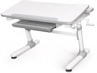 Стол Evo-kids Duke Grey (Evo-501 G)