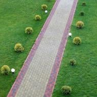 Тротуарная плитка Золотий Мандарин Кирпич стандартный (завод) 100х200х60 мм горчичный (10408019)