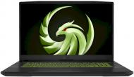 Ноутбук MSI Alpha 17,3" (17B5EEK-024XUA) black