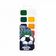 Краски акварельные Football 12 цветов медовые 110307 YES Краски акварельные Football 12 цветов медовые 110307 YES