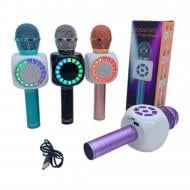 Микрофон Wster Karaoke MC870