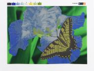 Набір для вишивки бісером F-124 260х360 SvitArt Набір для вишивки бісером F-124 260х360 SvitArt