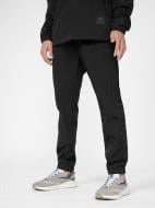 Штани 4F TROUSERS CAS M295 4FSS23TTROM295-20S р. S чорний