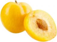 Слива желтая весовая Слива желтая весовая