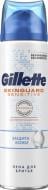 Піна для гоління Gillette Захист шкіри 250 мл