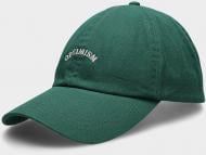 Кепка Outhorn BASEBALL CAP M076 OTHSS23ACABM076-40S L-XL зеленый