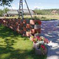 Клумбы Золотой Мандарин