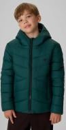 Куртка для мальчиков зимняя 4F DOWN JACKET M0913 4FJWAW26TDJAM0913-46S р.134 зеленая