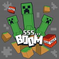 Картина за номерами Майнкрафт БУУМ 25x25 см Santi