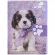 Папка куточок з клапаном А4 Rachael Hale KITE