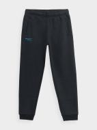 Брюки 4F TROUSERS CAS 4FJSS23TTROM556-30S р. 152 синий