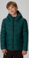 Куртка для мальчиков зимняя 4F DOWN JACKET M0913 4FJWAW26TDJAM0913-46S р.158 зеленая