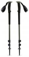 Трекинговые палки Black Diamond BD 1100453060