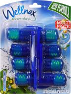 Туалетний блок Wellnax Евкаліпт кольорова вода 4х50 г BLK-406