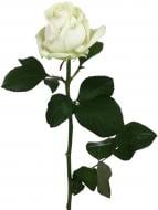Троянда Аваланч одноголова класична 50 см білий Троянда Аваланч одноголова класична 50 см білий