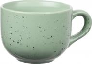 Чашка Ardesto Bagheria 480 мл Pastel green AR2948GGC