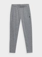 Брюки 4F TROUSERS FNK M167 4FSS23TFTRM167-27M р. 2XL серый