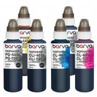 Комплект чернил Barva для Canon PGI-520PGBK + CLI-521BK/C/M/Y/GY 6x100 мл пигментные/водорастворимые (CPGI520-100-3MP)