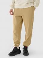 Штани 4F 4FJRAW24TTSHM2307-10S р.2XL бежевий