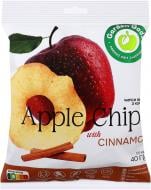 Яблоки ТМ GARDEN GADZ Чипсы яблочные с корицей 40г