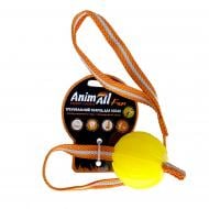 Игрушка для собак AnimAll Fun Тренинг мяч со шлейкой 6 см желтый
