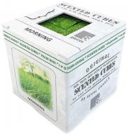 Кубики для аромалампы Scented Cubes Утро