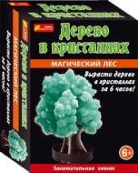 Набор для опытов Ранок Сад пушистых кристаллов. Магический лес 12138008Р 259