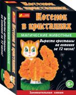 Набір для дослідів Ранок Магічні тварини. Котик у кристалах 12100326Р 264