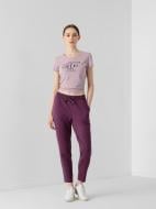 Брюки 4F H4Z21-SPDD019-50S р. XS темно-фиолетовый