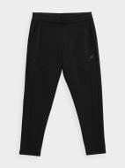 Штани 4F H4Z21-SPMD017-20S р. L чорний