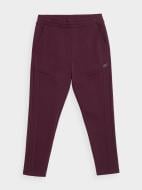 Брюки 4F H4Z21-SPMD017-60S р. XL бордовый