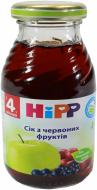 Сок Hipp Из красных фруктов 200 мл 9062300102410